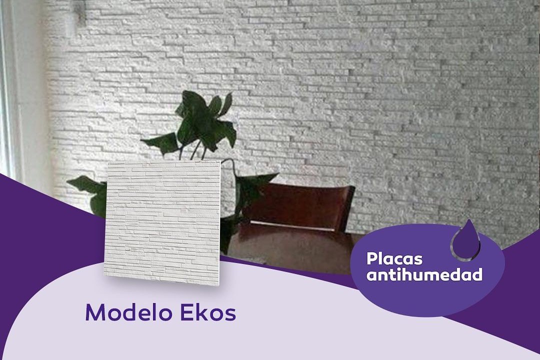 Pared con Placas Antihumedad instaladas, Modelo Ekos